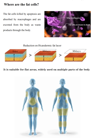 working theory of Ice Sculpture Machine