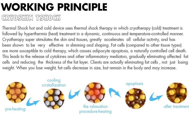 working theory of Cryoskin