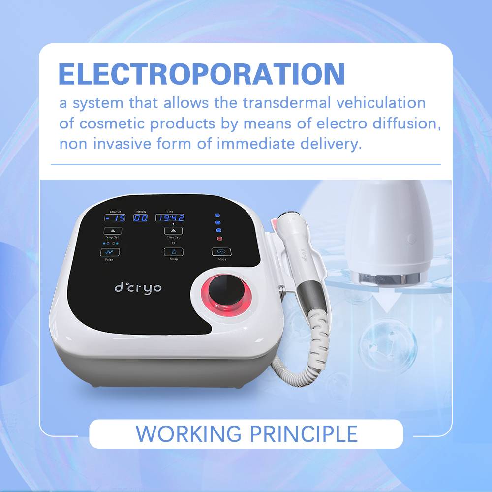 working theory of Electroporation Machine