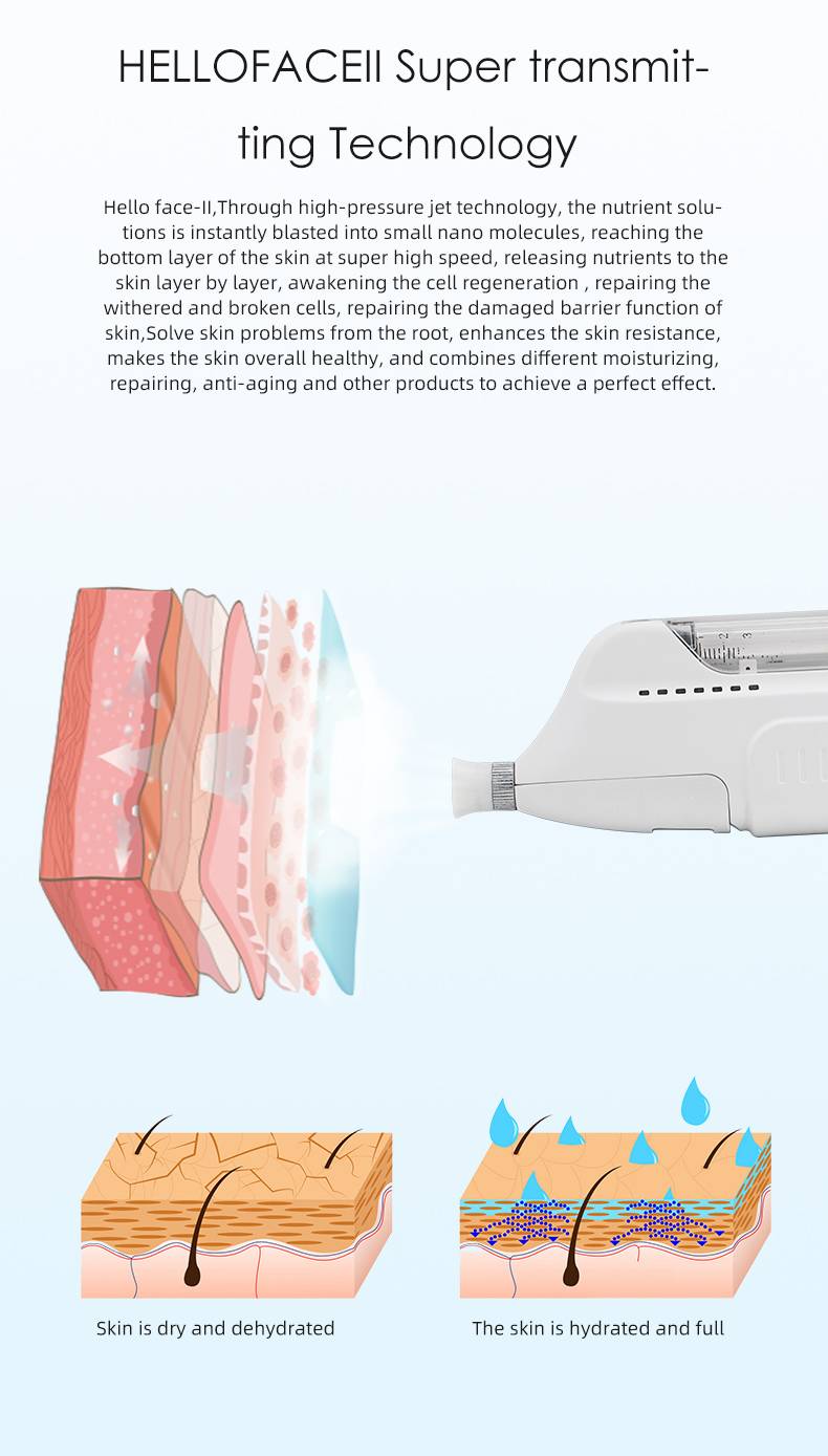 working theory of Mesotherapy Machine