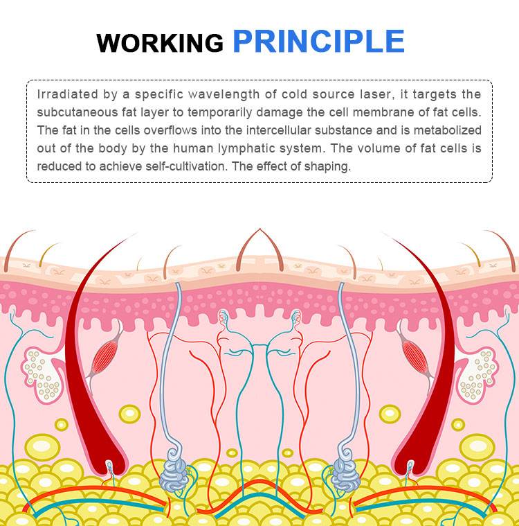 working theory of Cold Laser Therapy Device