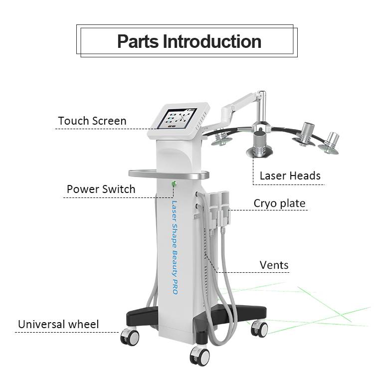 Display of 6d Laser Lipo Machine